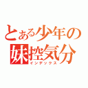 とある少年の妹控気分（インデックス）