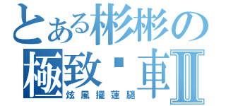 とある彬彬の極致摔車Ⅱ（炫風擺蓮腿）