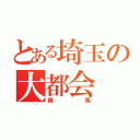 とある埼玉の大都会（練馬）