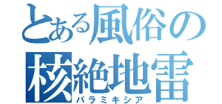 とある風俗の核絶地雷（パラミキシア）