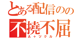 とある配信のの不撓不屈（Ａ＋ツクル）