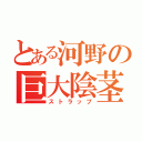 とある河野の巨大陰茎（ストラップ）