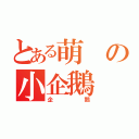 とある萌の小企鵝（企鵝）