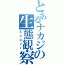 とあるナカジの生態観察（エコロジー）