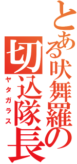 とある吠舞羅の切込隊長（ヤタガラス）