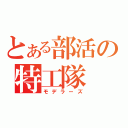 とある部活の特工隊（モデラーズ）