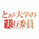 とある大学の実行委員（スペシャリスト）