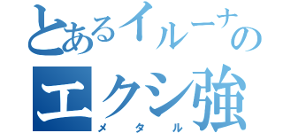 とあるイルーナのエクシ強化（メタル）