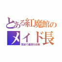 とある紅魔館のメイド長（完全で瀟洒な従者）