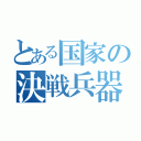 とある国家の決戦兵器（）