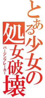 とある少女の処女破壊（バージンブレーカー）