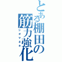 とある棚田の筋力強化（シオマネキ）