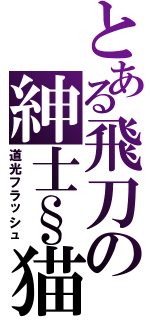 とある飛刀の紳士§猫（道光フラッシュ）