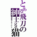 とある飛刀の紳士§猫（道光フラッシュ）