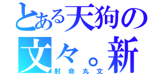 とある天狗の文々。新聞（射命丸文）