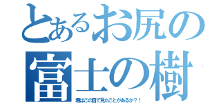 とあるお尻の富士の樹海（君はこの目で見たことがあるか？！）