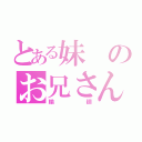 とある妹のお兄さん（輪廻）