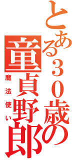 とある３０歳の童貞野郎（魔法使い）