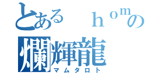 とある ｈｏｍｅの爛輝龍（マムタロト）