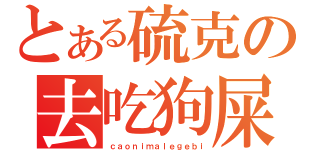 とある硫克の去吃狗屎（ｃａｏｎｉｍａｌｅｇｅｂｉ）