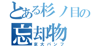 とある杉ノ目の忘却物（京大パンフ）