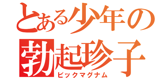 とある少年の勃起珍子（ビックマグナム）