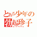 とある少年の勃起珍子（ビックマグナム）