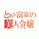 とある富豪の美人令嬢（ハルカ様）