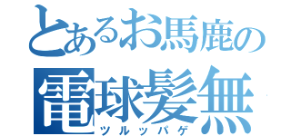 とあるお馬鹿の電球髪無（ツルッパゲ）