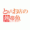 とあるお店の熱帯魚（しいくがかり）