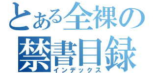 とある全裸の禁書目録（インデックス）