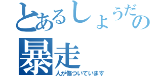 とあるしょうだいの暴走（人が傷ついています）