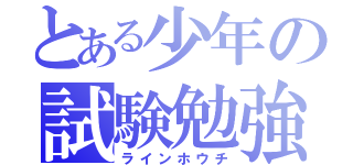 とある少年の試験勉強（ラインホウチ）