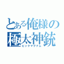 とある俺様の極太神銃（ビックマグナム）