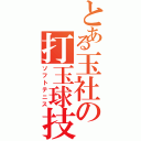 とある玉社の打玉球技（ソフトテニス）