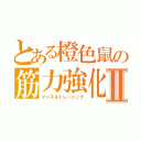 とある橙色鼠の筋力強化Ⅱ（マッスルトレーニング）