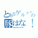 とあるゲルググの豚はな！（田中先生は豚はなを削り落とす）