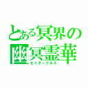 とある冥界の幽冥霊華（セミダークネス）