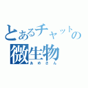 とあるチャットの微生物（あめさん）