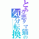 とある悪タマ猫の気分転換（フハァァァァァァァァァァァァ）