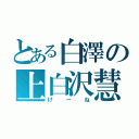 とある白澤の上白沢慧音（けーね）