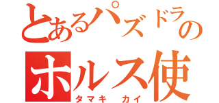 とあるパズドラのホルス使い（タマキ カイ）