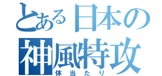 とある日本の神風特攻（体当たり）