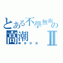 とある不學無術の高潮Ⅱ（聯合交流）