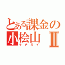 とある課金の小桧山Ⅱ（キチガイ）