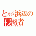 とある浜辺の侵略者（イカムスメ）