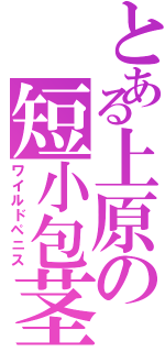 とある上原の短小包茎Ⅱ（ワイルドペニス）