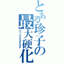 とある珍子の最大硬化（マックスカチカチ）