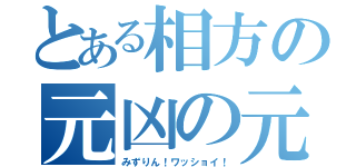 とある相方の元凶の元凶（みずりん！ワッショイ！）