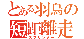 とある羽鳥の短距離走者（スプリンター）